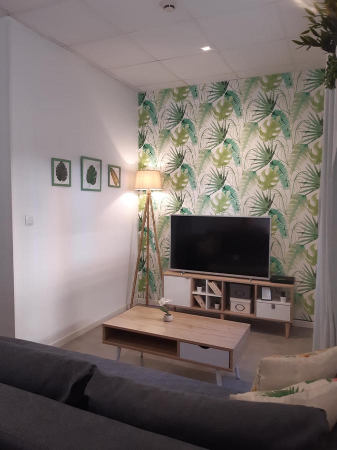 Green Serenity Apartment Αλικάντε Εξωτερικό φωτογραφία